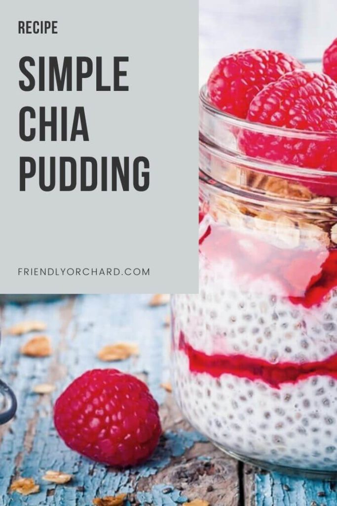 Simple Chia Pudding | Friendly Orchard