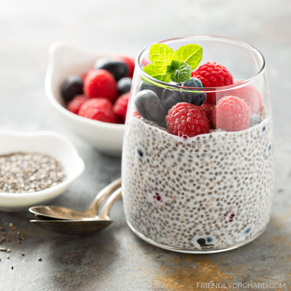 Simple Chia Pudding | Friendly Orchard